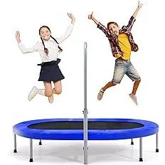 Fitness Trampoline