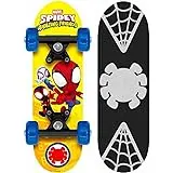 mini skateboard