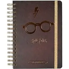 Grupo Erik Bullet Journal Harry Potter-glazen