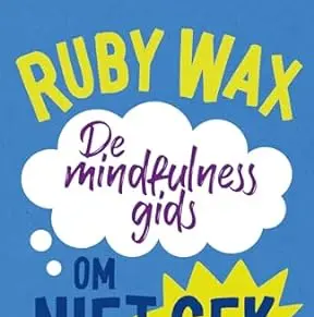 De mindfulnessgids om niet gek te worden: Een werkboek