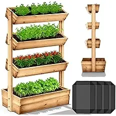 Moestuinbakken